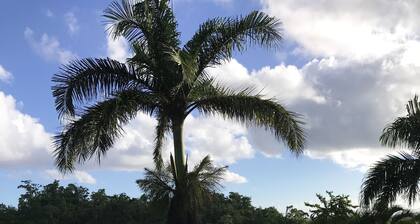 splendid villa with its infinity pool offering you a view of nature