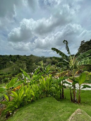 Property grounds - splendid villa with its infinity pool offering you a view of nature (Las Terrenas)