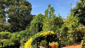 Un jardin sur le toit, agrémenté de plantes en pot et doté d’une rambarde en métal.