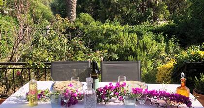 Villa with large garden in Saint-Florent center