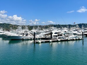 Marina