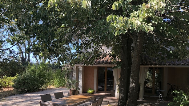 Un espace extérieur abrité, avec une table et des chaises, entouré d’arbres et d’une clôture.