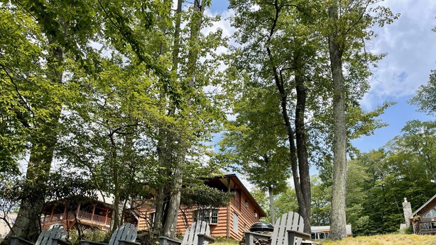 En rustik hytte med Adirondack-stole og en stenvæg i et skovområde.