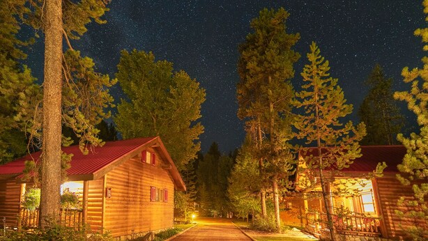 Un alojamiento tipo cabaña con un sendero central que lleva a la entrada, rodeado de árboles altos y un cielo nocturno estrellado.