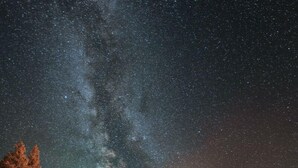 Cielo estrellado sobre un lecho rocoso de río, con árboles y una fogata.