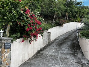 Ein schmaler, gewundener Betonweg, der von einer weißen Mauer und üppigem Grün gesäumt wird und zu einem verschlossenen Eingang führt.