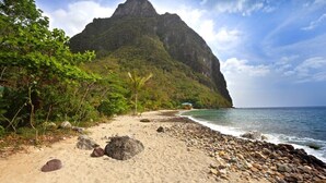 Une plage bordée d’un rivage rocheux, avec un palmier et une montagne en arrière-plan.
