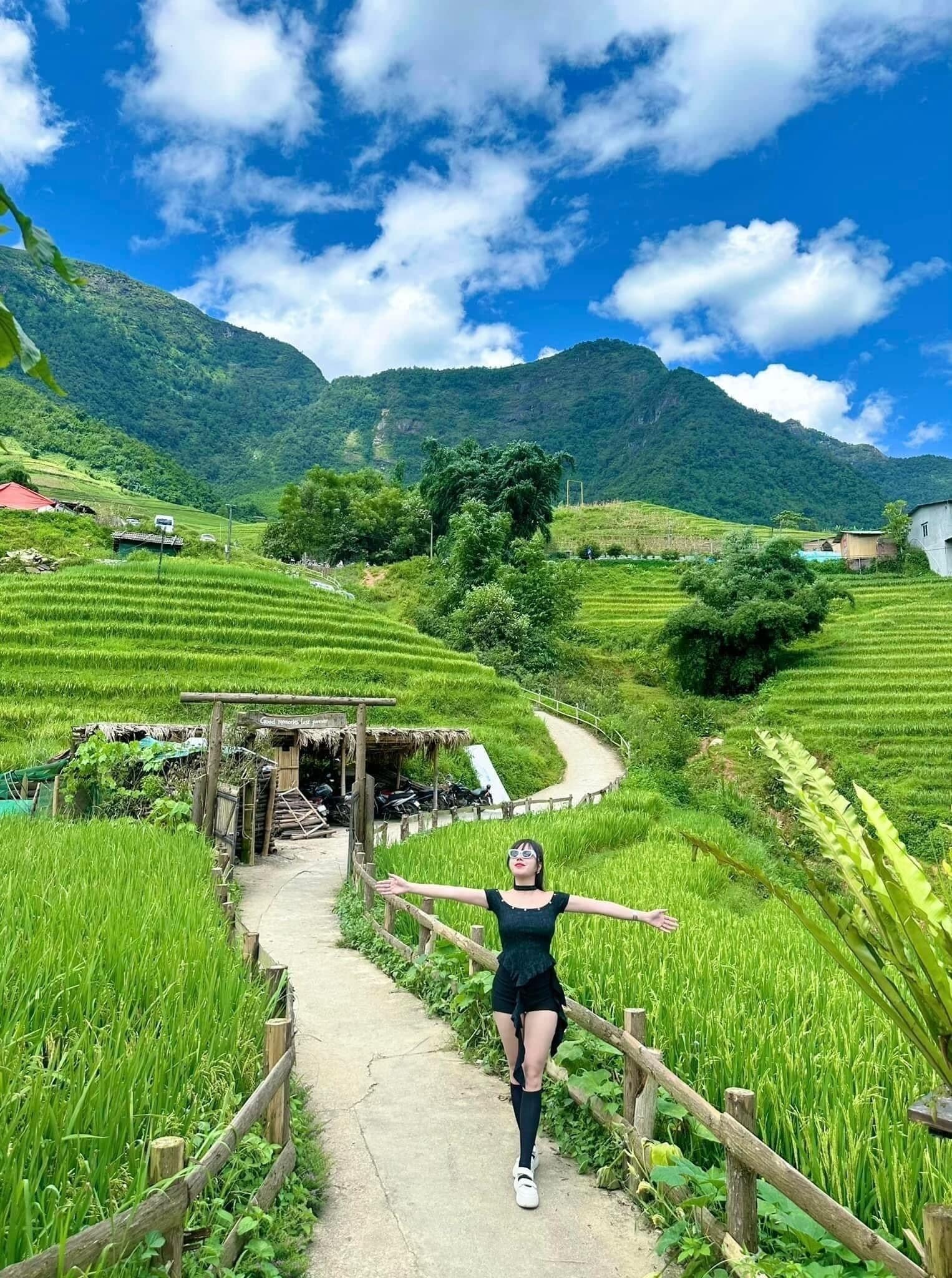 A pathway through terraced rice fields with a mountain backdrop.