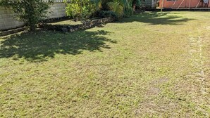 A grassy yard with a stone wall, a palm tree, and a building with a metal roof.