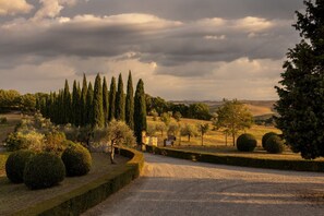 المنطقة المحيطة بالمنشأة