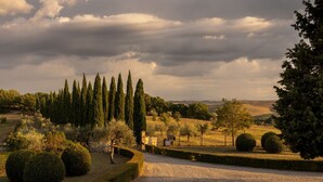 Paesaggio rurale con un sentiero sterrato, siepi curate e alti cipressi.
