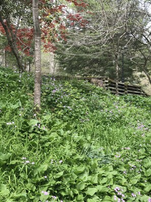 Terrain de l’hébergement 