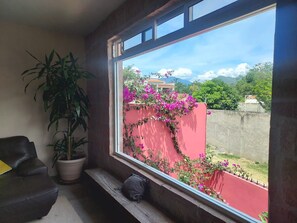 A room with a large window, a potted plant, a bench, and a view of a red wall with pink flowers. - Modern House, Upscale Mexican neighborhood. (Oaxaca)