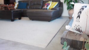 Un salon moderne avec un canapé d’angle, une table basse et une grande plante en pot.