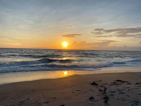 Beach nearby - Studio on Lemon Bay, Private Dock, Kayaks (Englewood)