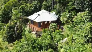 Une maison entourée d’une forêt dense.