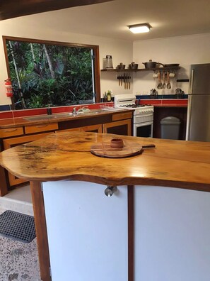 Fridge, oven, stovetop, electric kettle