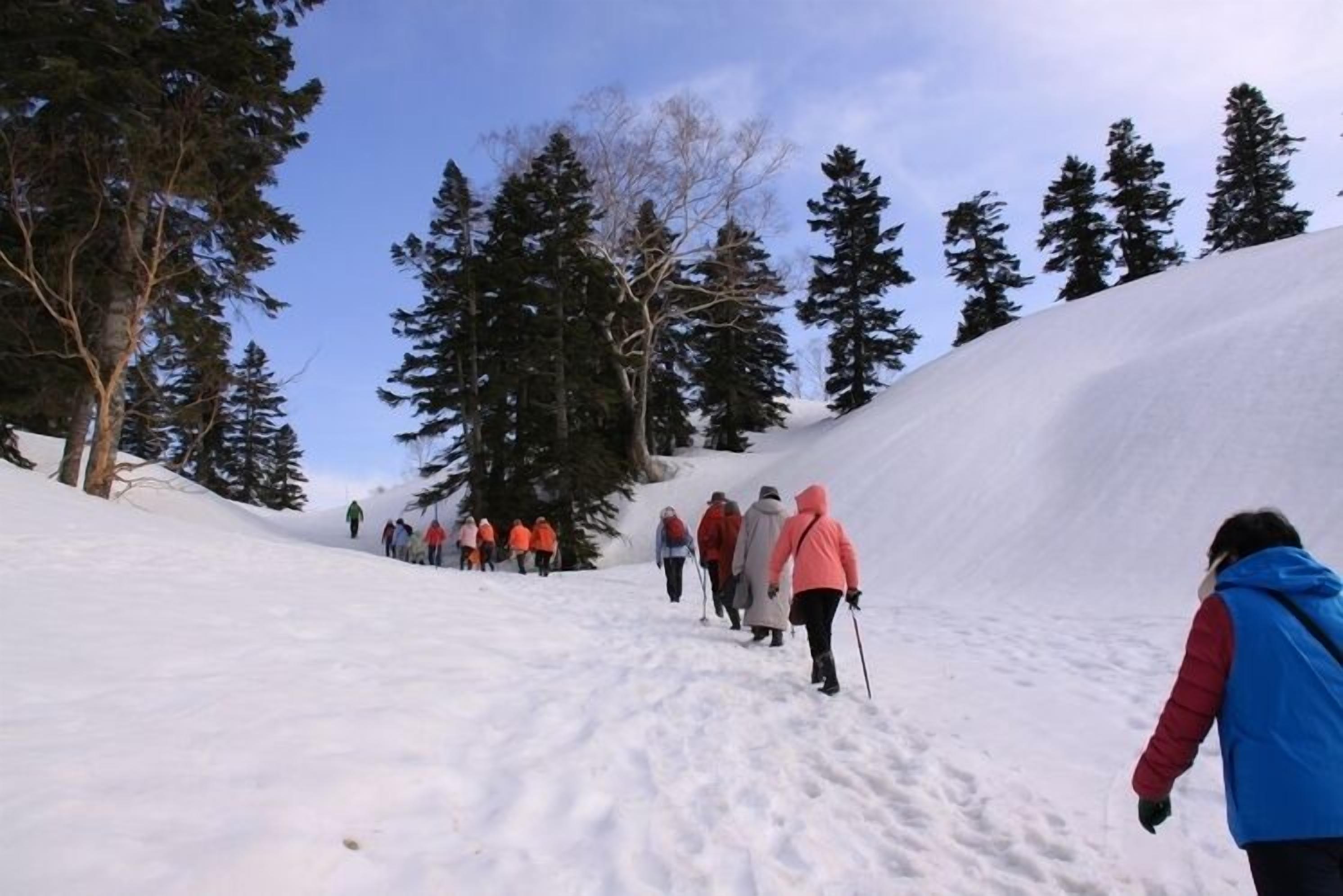 A snowy hiking trail with people walking, surrounded by trees.