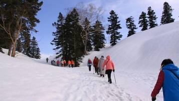 A snowy hiking trail with people walking, surrounded by trees.