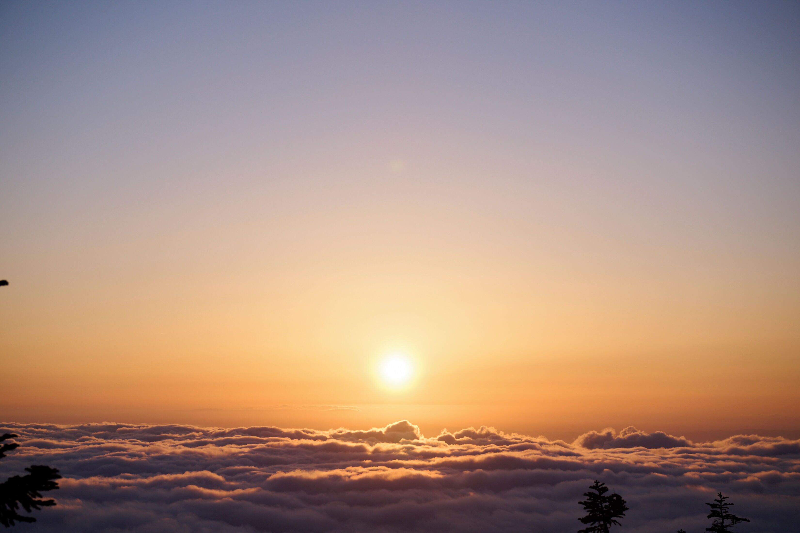 A sunrise over a sea of clouds with a clear sky.