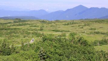 Vista desde la habitación