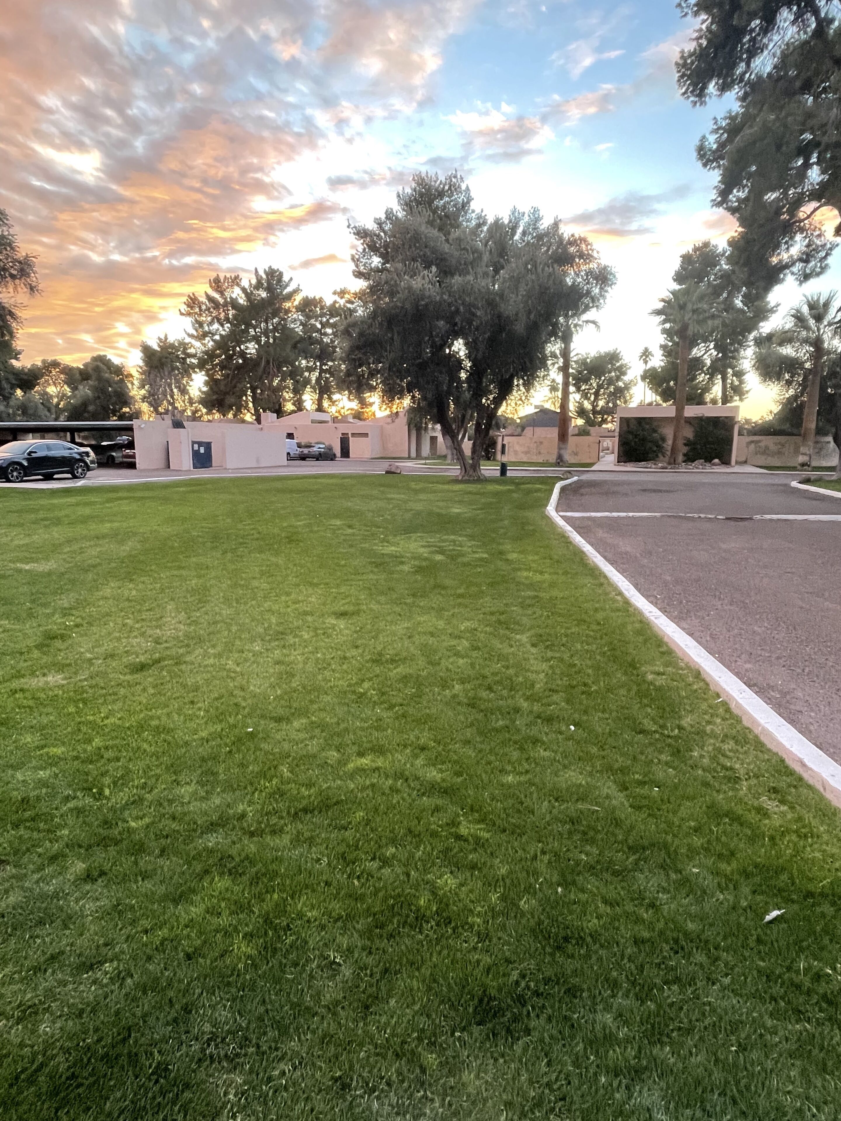 Un área verde bien cuidada con un sendero pavimentado, rodeada de árboles y un edificio de diseño moderno.
