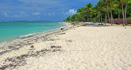 Les 3L, Bungalow Cocotier le Moule