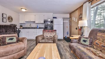 TV, fireplace, DVD player, books