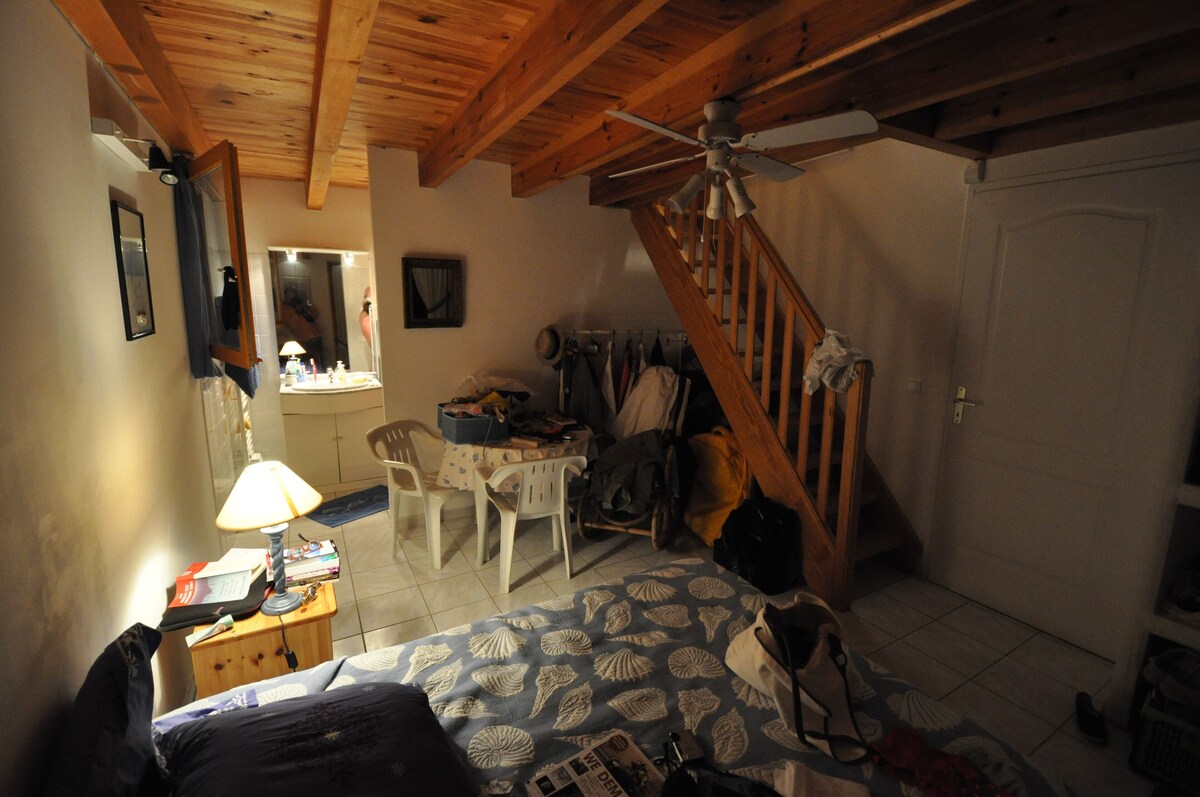 Image de profil de l’hôte