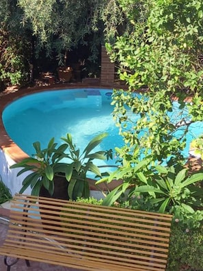 A swimming pool surrounded by greenery, with a wooden bench in the foreground.
