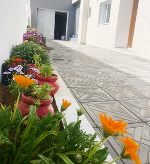 Garden - Second Position Beach Dar Allouche Kélibia Rfi Rdc (Dar Allouche)
