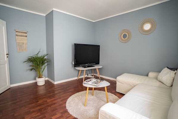 A living room with a white couch, a television on a stand, a potted plant, and a round rug.