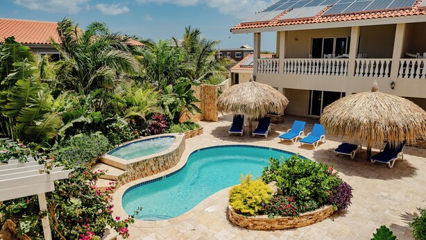 Una piscina rodeada de abundante vegetación, con sillas de descanso y sombrillas de paja.