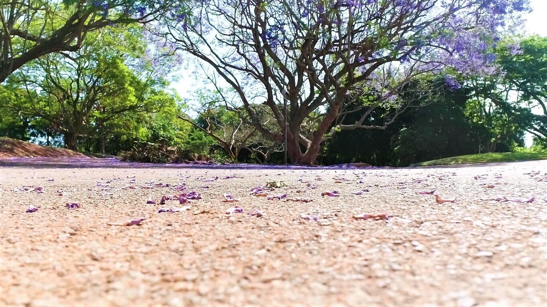 منوع