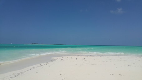 Vista desde la propiedad