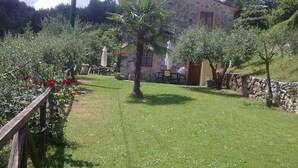 A stone house with a small lawn, a palm tree, and a wooden fence. - The Italian Countryside - Agriturismo Collina Delle Streghe (Monte Roberto)