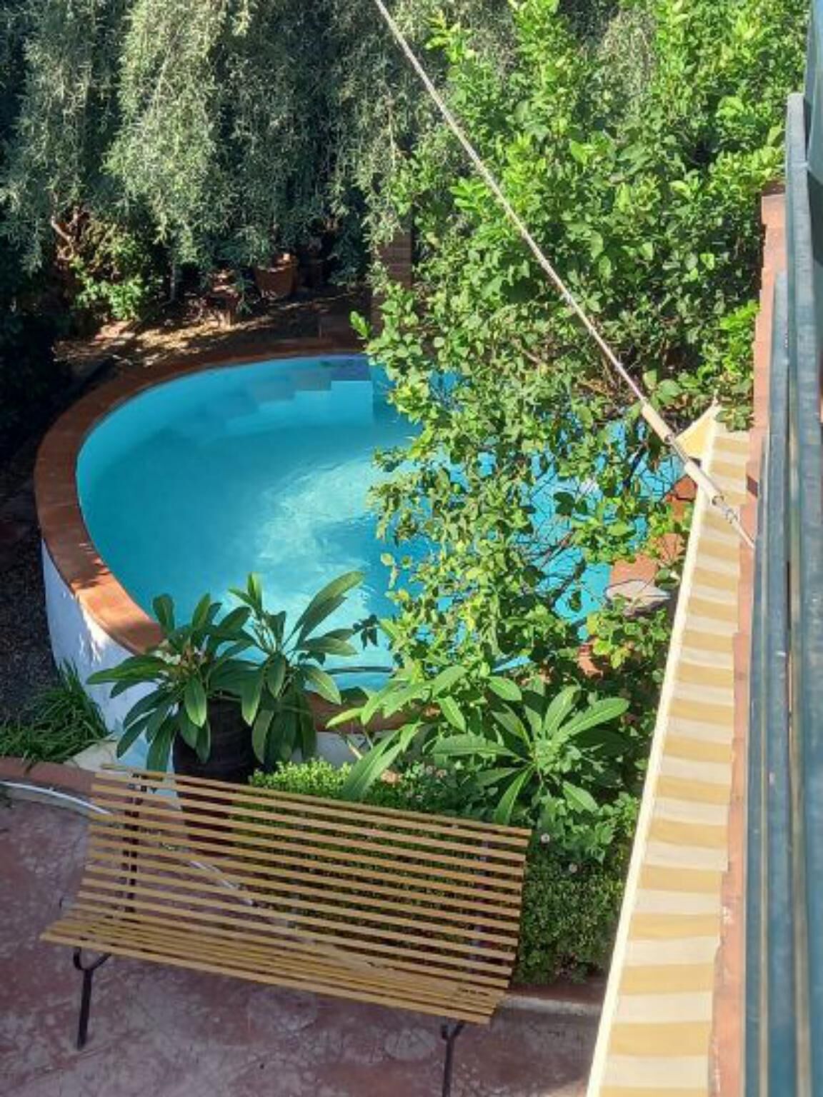 Piscina rodeada por vegetação exuberante, um banco de madeira e um muro de tijolos.