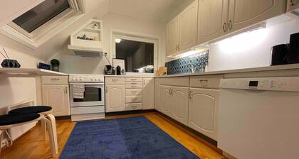 Bnb Stavanger Bertis Ap 8 Spacious Terraces