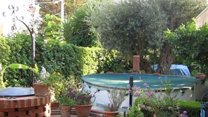 Ein Garten mit einer Ziegelstruktur, verschiedenen Kübelpflanzen und einem Schwimmbad.