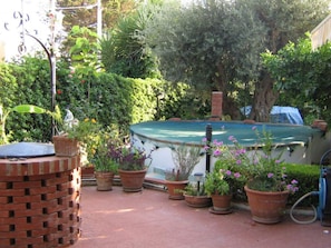A pool surrounded by potted plants and a brick structure.