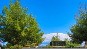 A landscaped garden with large trees, a stone wall, and a view of the sea. - Sunny Villa in Chaniotis (Kassandra)