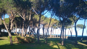 A park with trees and a gravel path.
