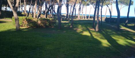 Terrein van de accommodatie