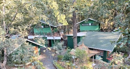 Nirmal Chhaya Nature Resort
