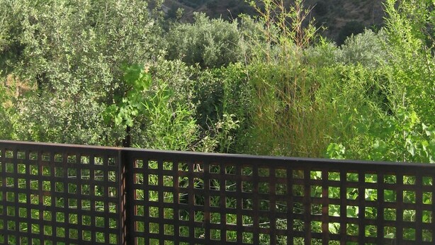 A view of a valley with dense vegetation and hills in the background. - APARTMENT IN MONACHIL PUEBLO/GRANADA (ANDALUCIA) (Monachil)