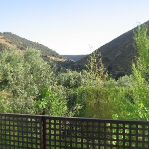 A view of a valley with dense vegetation and hills in the background. - APARTMENT IN MONACHIL PUEBLO/GRANADA (ANDALUCIA) (Monachil)