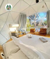 Vista desde la habitación