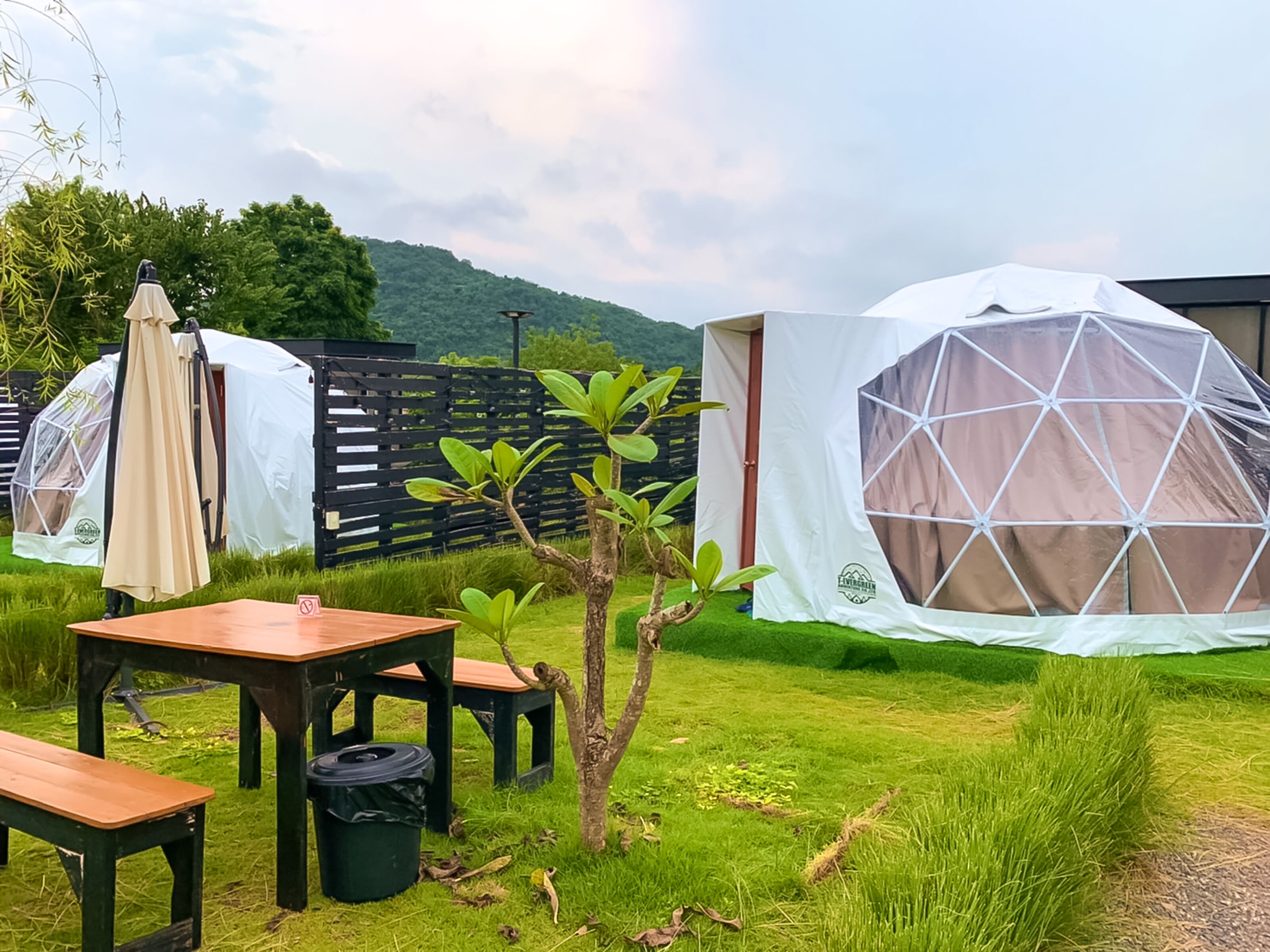 A campsite with two dome tents, a picnic table, and a small tree.