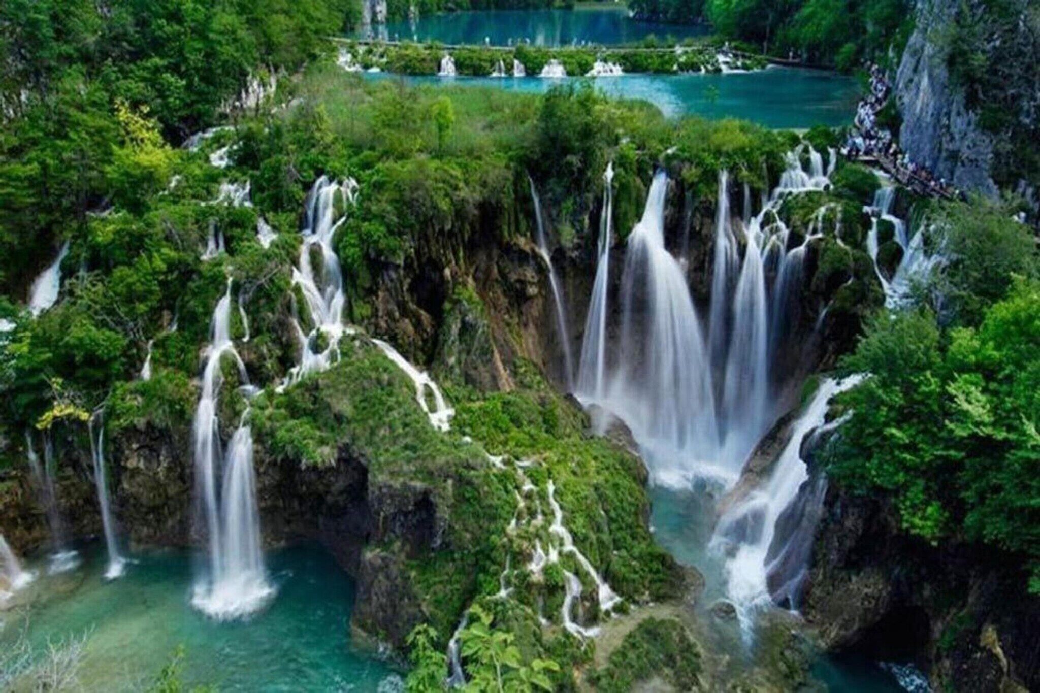 A waterfall surrounded by lush greenery.