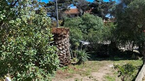 A garden area with a stone pillar, various shrubs, and a clear sky.